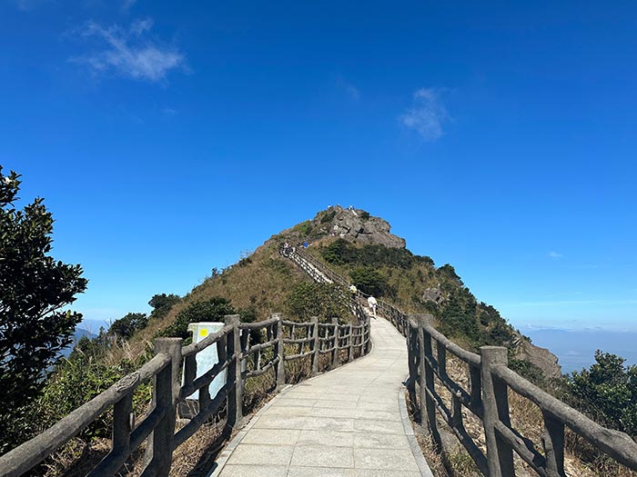同心逐夢，溫暖同行 —— 東科集團20周年慶團建精彩回顧！